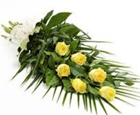 1C - All Roses with mixed foliage